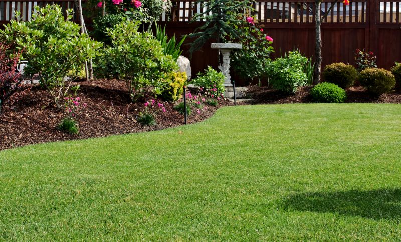 Lawn Erosion Repair