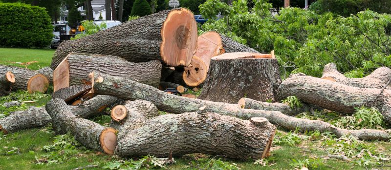 Tree Curbing Installation